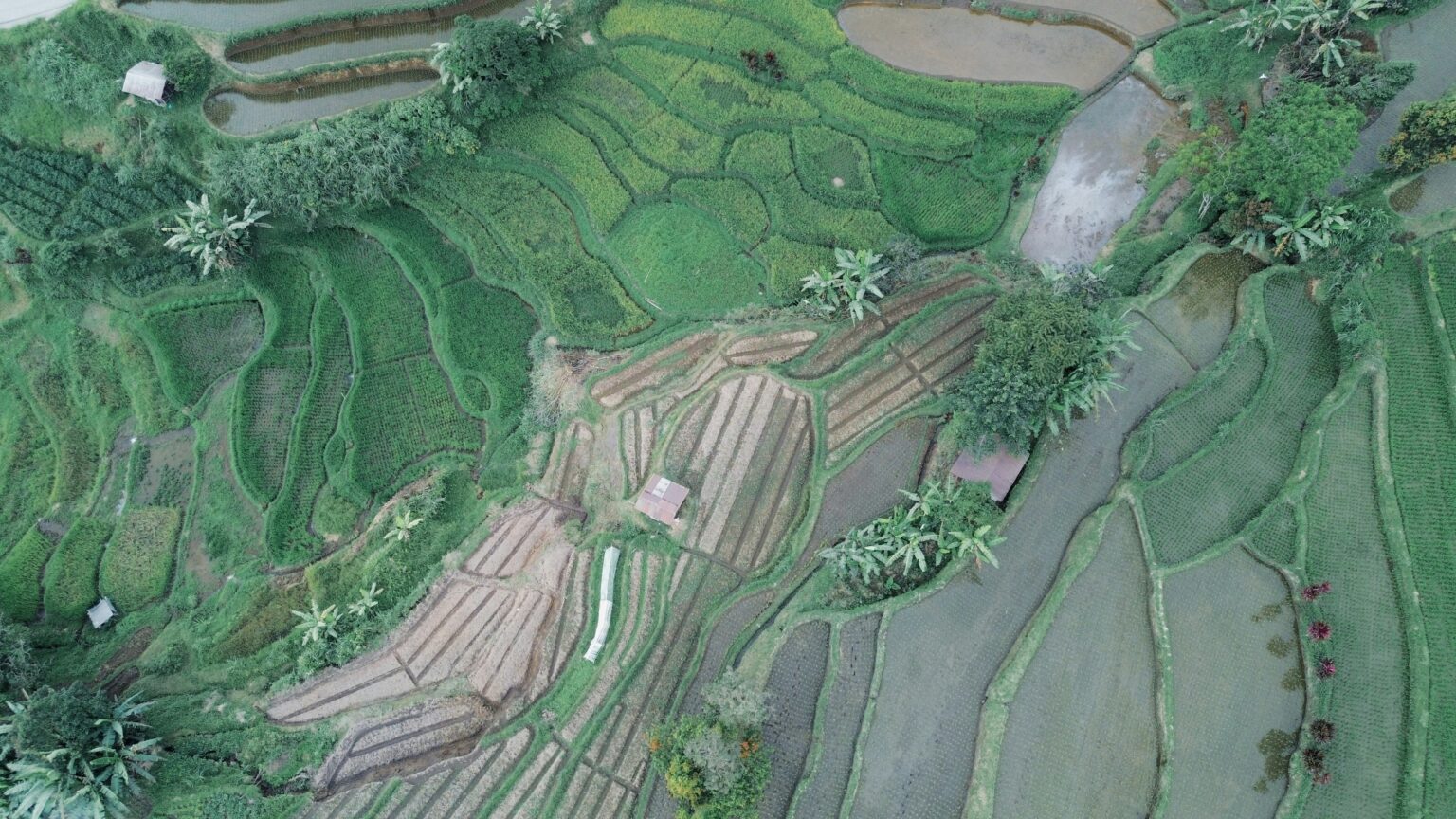 tomi-saputra-5vlVPwWzaR8-unsplash