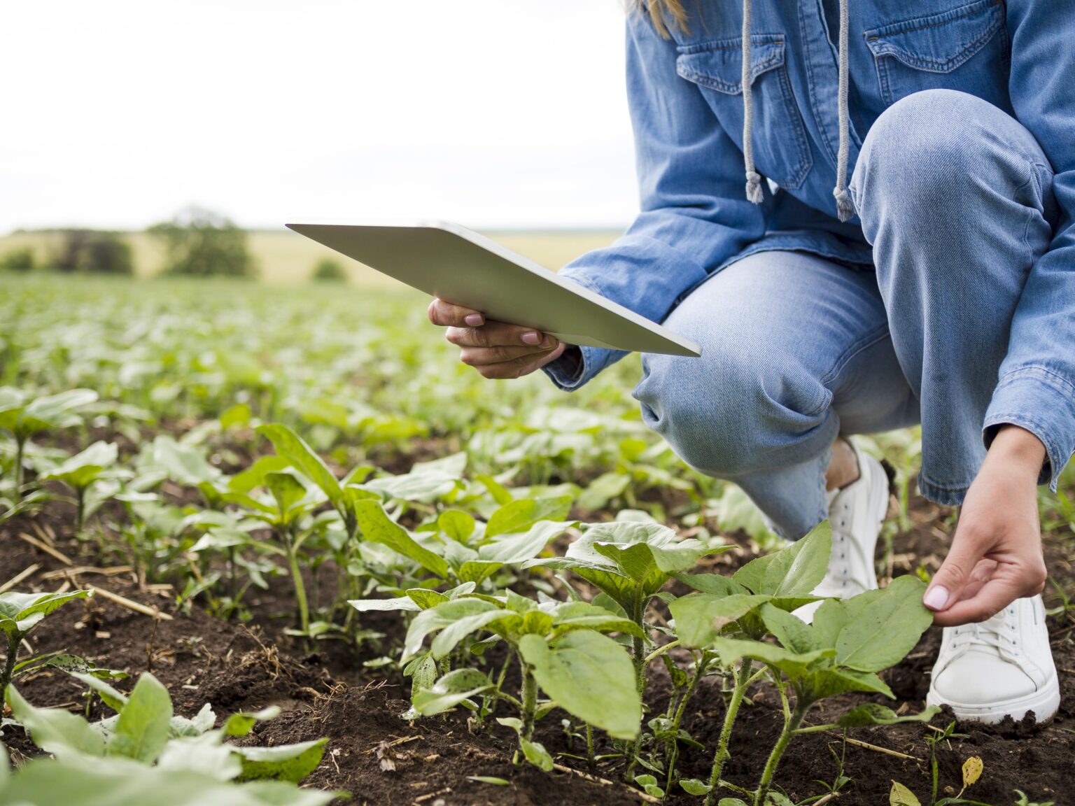 woman-checking-her-plants-with-copy-space